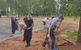изображение_viber_2025-06-10_11-02-11-503