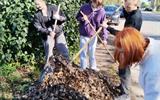 изображение_viber_2025-09-25_15-11-17-055