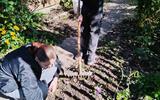 изображение_viber_2025-09-25_15-15-02-608